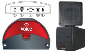 Zapowiedź głosowa do systemu kolejkowego 