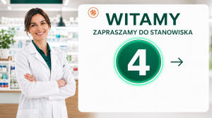 System jednej kolejki bez biletów WEB 